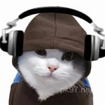 Avatar of Mahira Nawaz